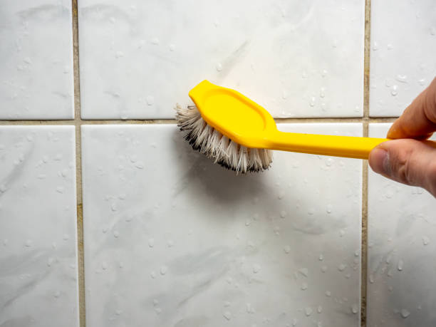 Mold Removal Process in Plumas Lake, CA