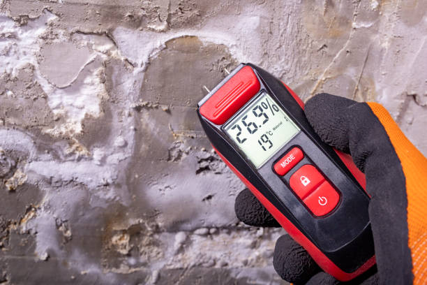 Certified Mold Removal in Plumas Lake, CA