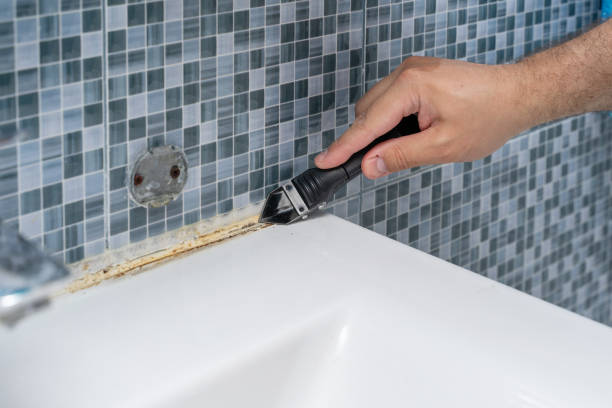 Best Best Mold Removal Companies  in Plumas Lake, CA